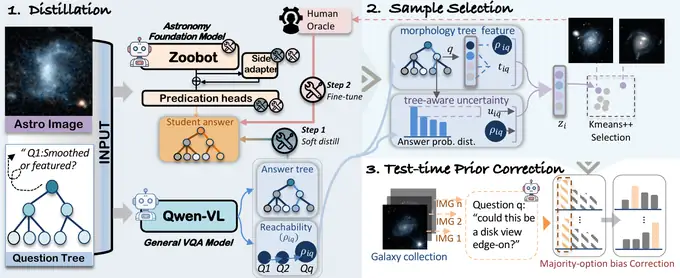 Overview of the VLM distillation, sample selection, and test-time prior correction framework